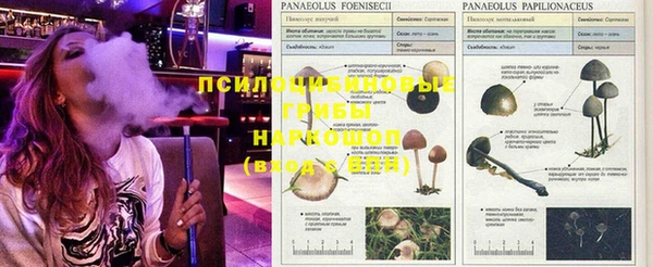 Альфа ПВП Липки